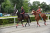 Immagine <b>REG_9147</b>
